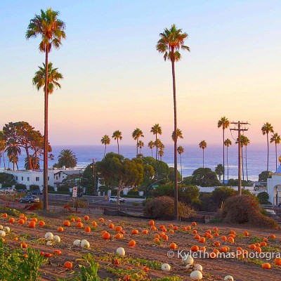 Swamis,Pumpkins,Encinits,Beach,View,Kyle-Thomas,California,ca