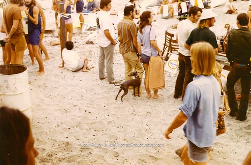 The crowd, and a dog
