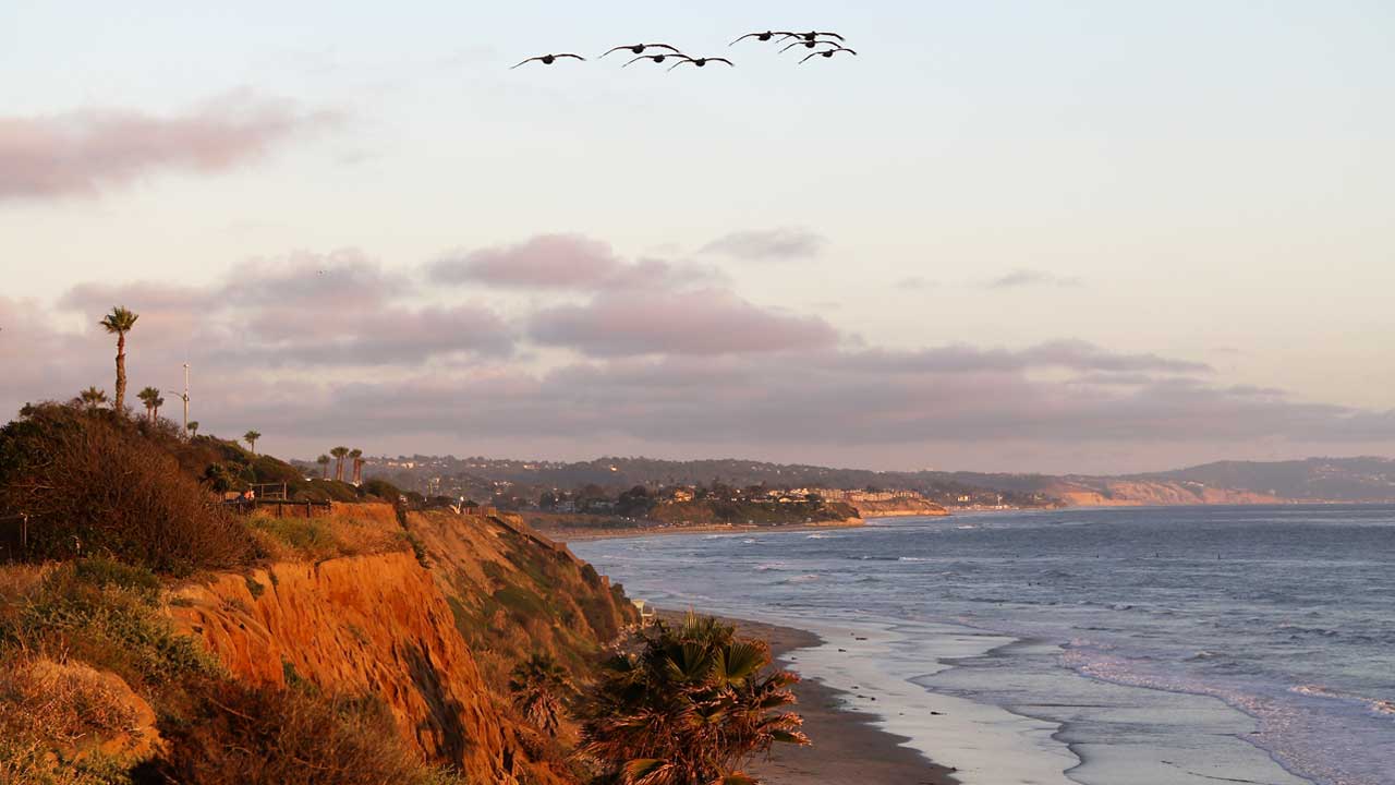 Sea-Ocean-Bluff-Sunset-Pelicans-Cardiff-CA