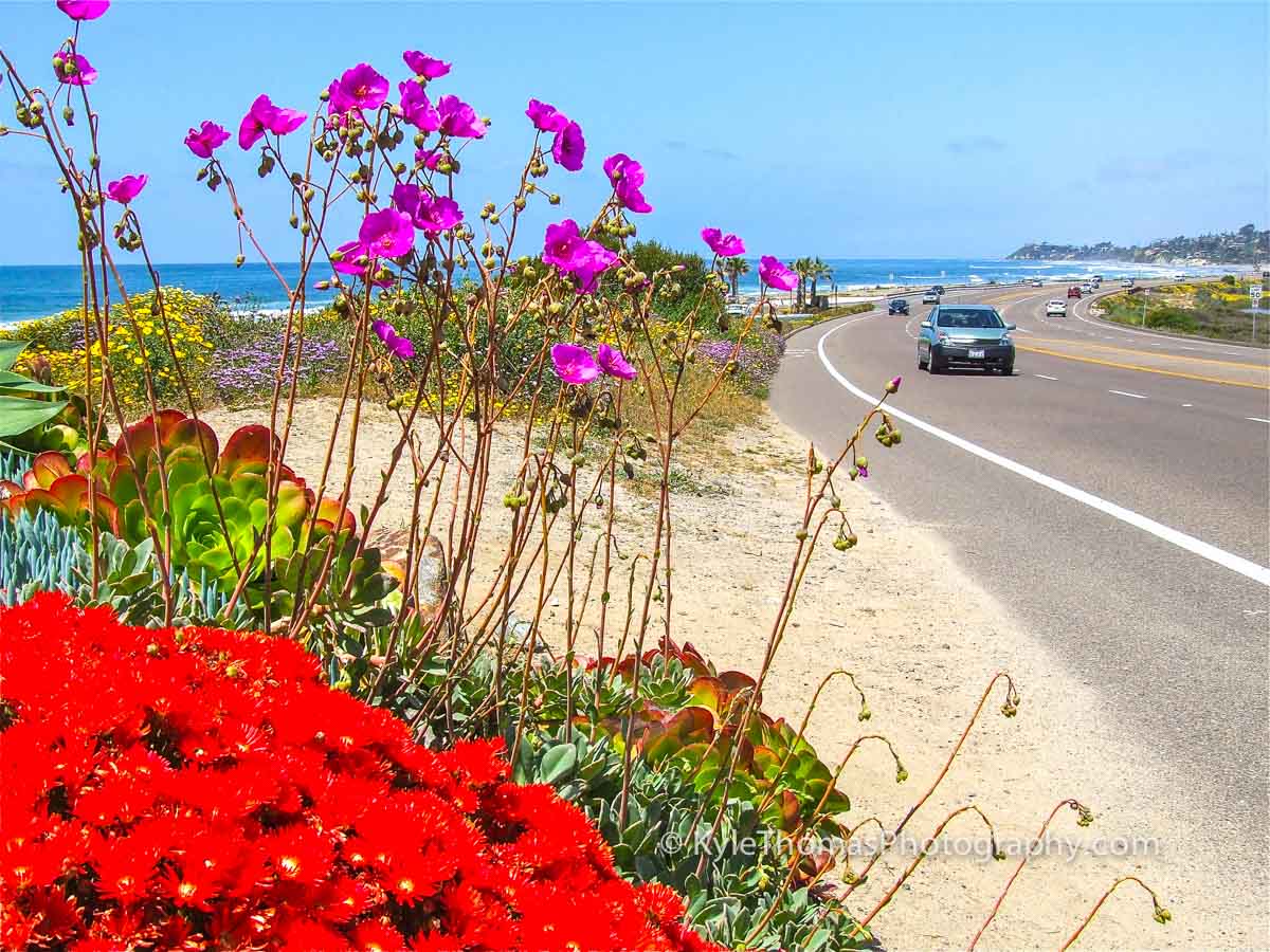 Cardiff-Encinitas-CA-Beach-Hwy-101-Kyle-Thomas