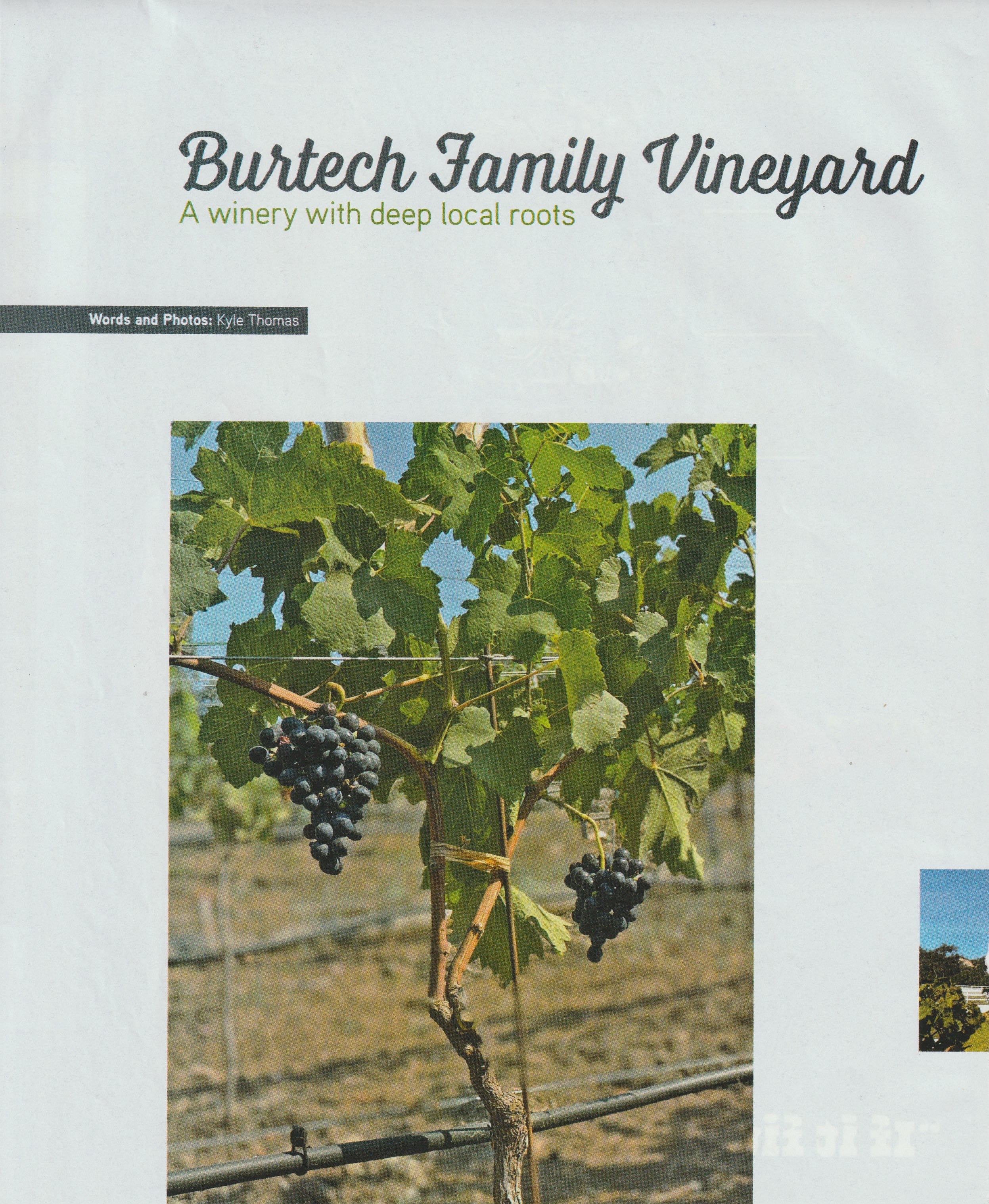 Burtech Family Vineyard, A winery with deep local roots, as it ran in Encinitas Magazine, page 26, the headline above clusters of dark grapes hanging on a trellised vine