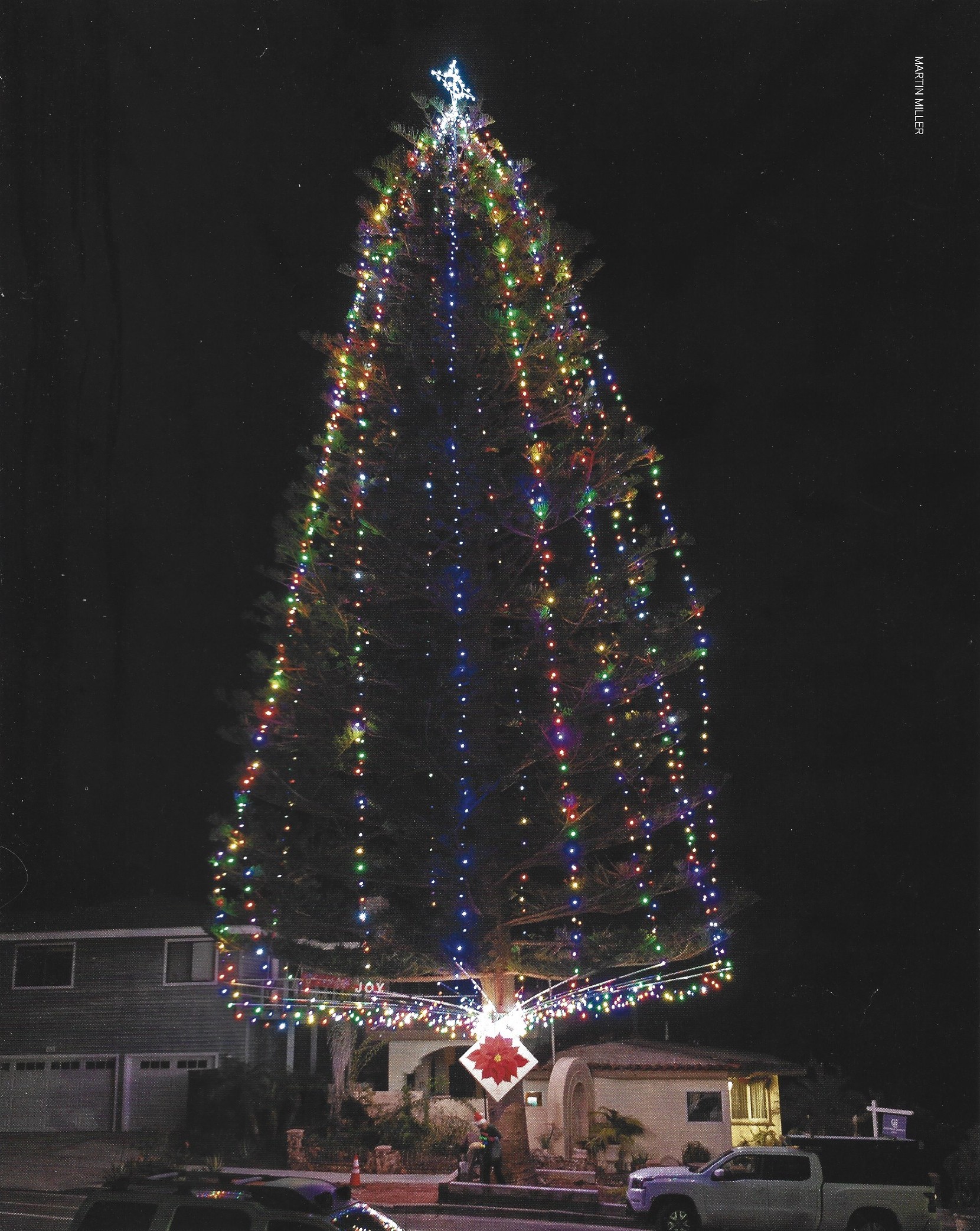 Page 19, a full-page night photograph of the Heritage Tree in full color lights above the house at 4th and C, credited in the margin to Martin Miller