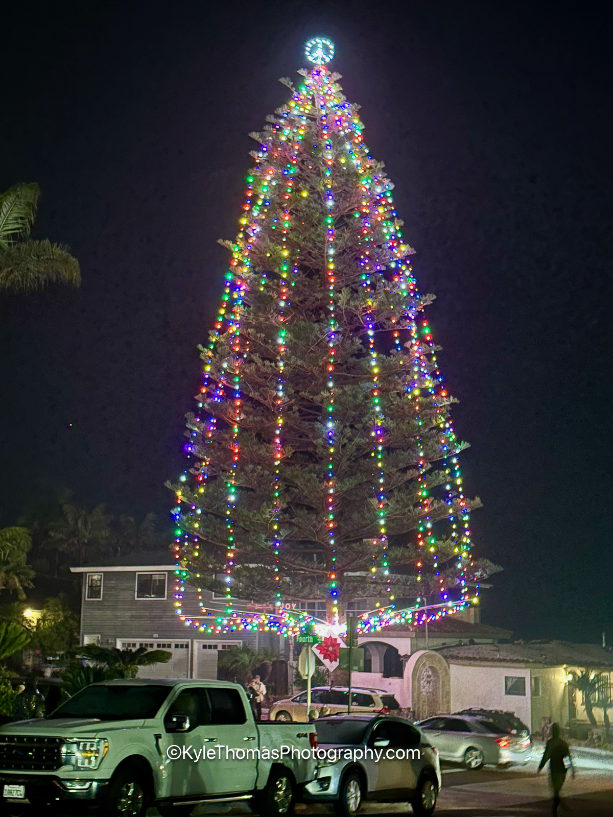 The Heritage Tree fully lit at night, ninety feet of multicolored strands running from a white star at the crown down to the ground, the house glowing beneath it and pickup trucks parked along the street
