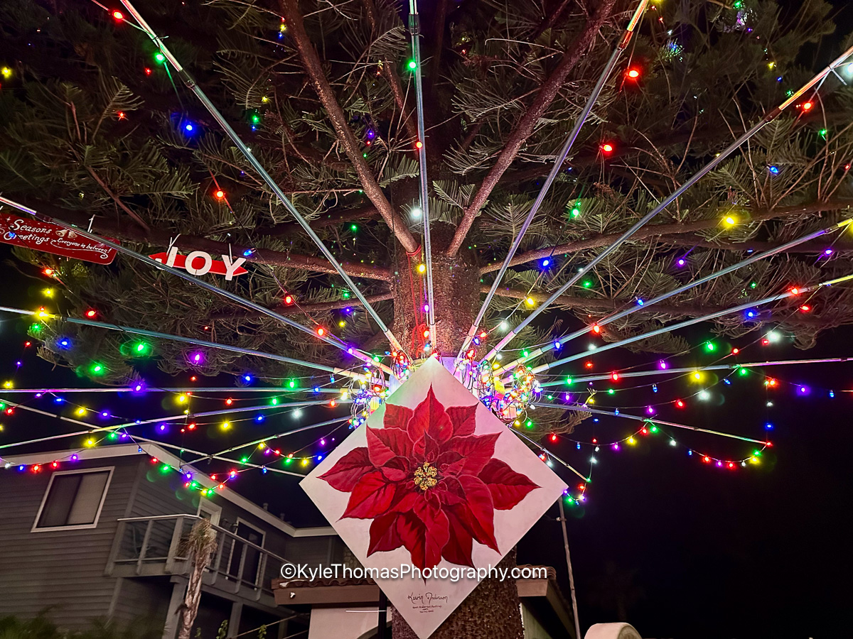 Looking up the trunk at night with the sixteen lit strands radiating out from the metal yoke in every direction, colored bulbs along each line, a JOY sign and a Season&rsquo;s Greetings banner among the branches, and a diamond-shaped painting of a red poinsettia hanging on the trunk
