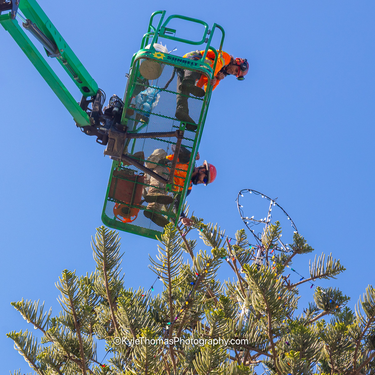 Looking straight up into a blue sky at the green lift basket holding two workers in hard hats, one leaning out over the rail, a lit peace sign hanging in the branches beside them